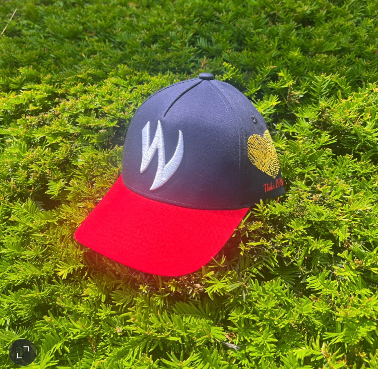 The W Loyal To My Peace Two Tone SnapBack Hat