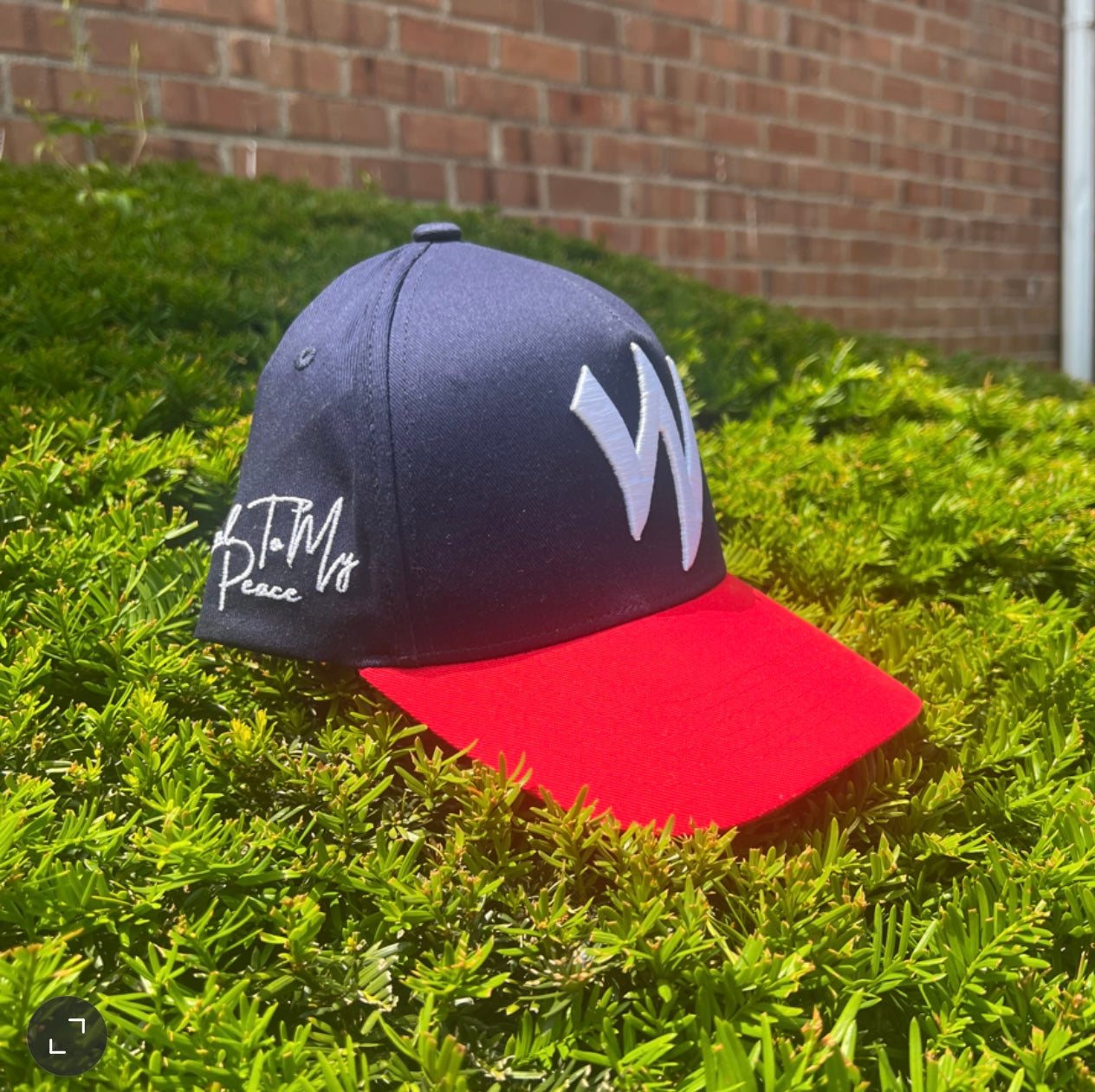 The W Loyal To My Peace Two Tone SnapBack Hat
